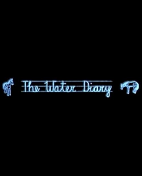 The.Water.Diary.2006.720p.BluRay.x264-BiPOLAR – 451.9 MB