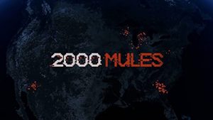 2000.Mules.2022.1080p.Web-DL.x264 – 5.1 GB