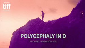 Polycephaly.In.D.2021.1080p.WEB-DL.AAC2.0.x264-RSG – 877.4 MB