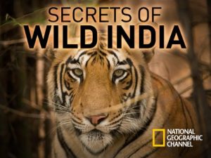 Secrets.of.Wild.India.S01.1080p.DSNP.WEB-DL.DDP5.1.H.264-playWEB – 8.2 GB