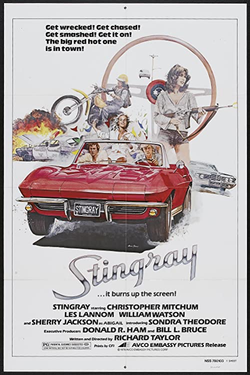 Stingray.1978.1080p.BluRay.REMUX.AVC.FLAC.2.0-EPSiLON – 22.7 GB