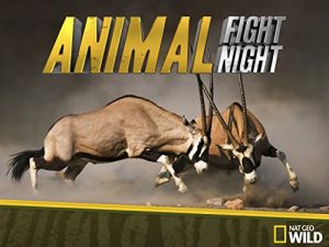 Animal.Fight.Night.S01.720p.DSNP.WEB-DL.DDP5.1.H.264-playWEB – 4.1 GB