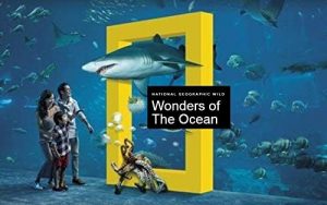 Wonders.of.the.Ocean.S01.1080p.DSNP.WEB-DL.DD+5.1.H.264-NTb – 4.9 GB