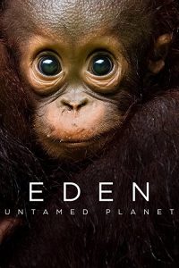 Eden.Untamed.Planet.S01.2021.BluRay.1080p.x264.DTS-HD.MA5.1-HDChina – 34.4 GB