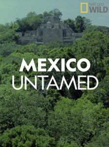 Mexico.Untamed.S01.720p.DSNP.WEB-DL.DDP5.1.H.264-playWEB – 4.0 GB