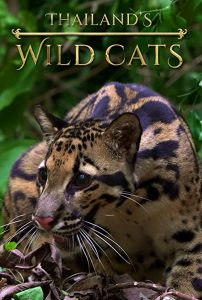 Thailand’s.Wild.Cats.2021.1080p.DSNP.WEB-DL.DD+5.1.H.264-NTb – 2.5 GB