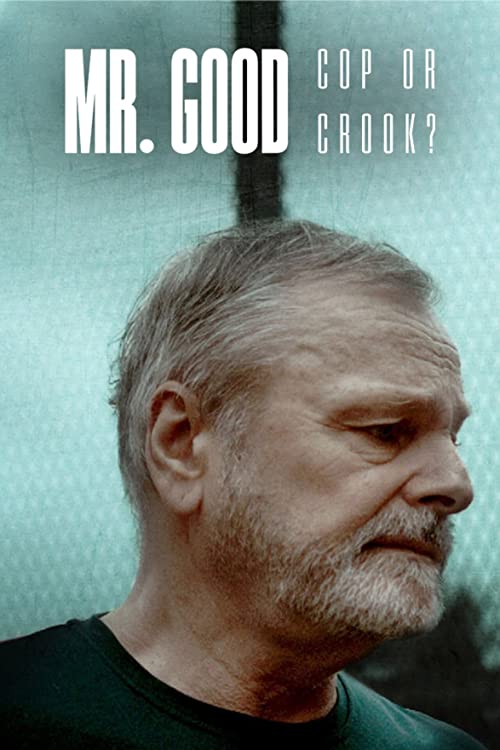 Mr.Good.Cop.or.Crook.S01.1080p.NF.WEB-DL.DUAL.DDP5.1.x264-SMURF – 11.2 GB