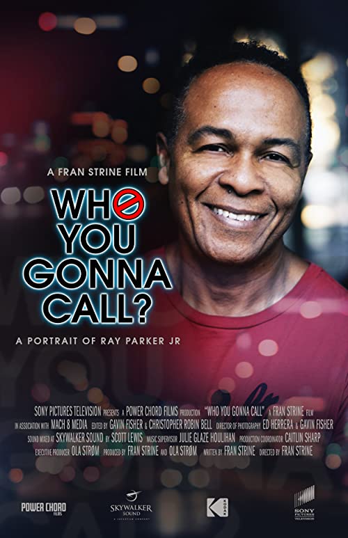 Who.You.Gonna.Call.2020.1080p.WEB.H264-KDOC – 6.4 GB