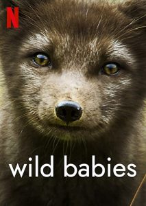 Wild.Babies.S01.1080p.NF.WEB-DL.DDP5.1.Atmos.HDR.H.265-NTb – 10.1 GB