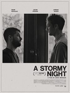 A.Stormy.Night.2020.1080p.AMZN.WEB-DL.DDP2.0.H.264-WELP – 3.0 GB