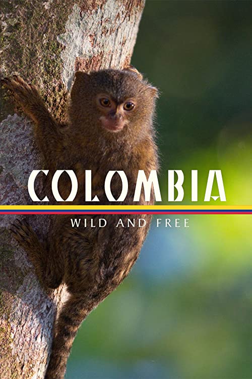 Colombia.Wild.&.Free.S01.1080p.AMZN.WEB-DL.DDP5.1.H.264-NTb – 7.2 GB