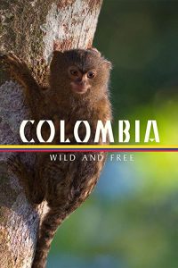 Colombia.Wild.&.Free.S01.720p.AMZN.WEB-DL.DDP5.1.H.264-NTb – 4.4 GB