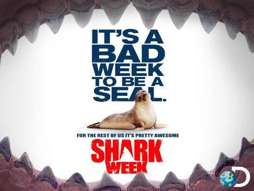Shark.Week.2022.Great.White.Open.Ocean.1080p.WEB.h264-B2B – 3.5 GB