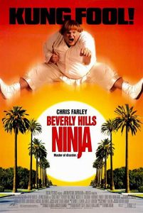 Beverly.Hills.Ninja.1997.1080p.WEB.H264-DiMEPiECE – 8.4 GB