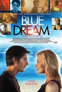 Blue.Dream.2013.1080p.WEBRip.DD5.1.x264-NTb – 2.9 GB
