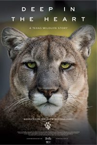 Deep.in.the.Heart.A.Texas.Wildlife.Story.2022.1080p.WEB.H264-KDOC – 7.6 GB