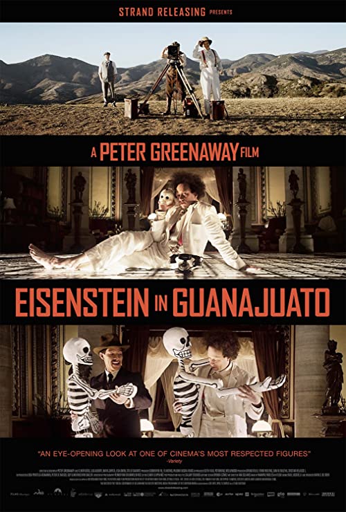Eisenstein.in.Guanajuato.2015.1080p.Blu-ray.Remux.AVC.DTS-HD.MA.5.1-HDT – 24.3 GB