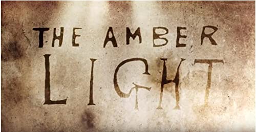 The.Amber.Light.2019.1080p.NF.WEB-DL.DD+5.1.x264-cfandora – 3.5 GB
