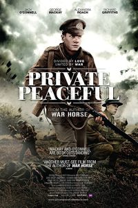 Private.Peaceful.2012.1080p.Blu-ray.Remux.AVC.DTS-HD.MA.5.1-HDT – 21.2 GB