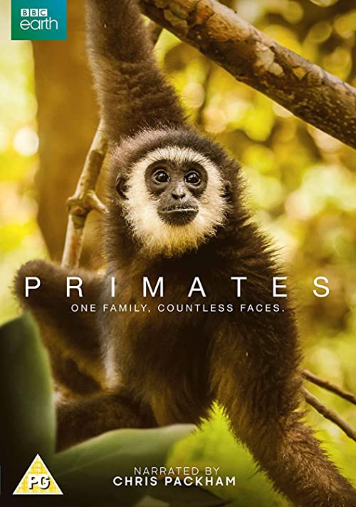 Primates.2020.S01.1080p.Bluray.FLAC.2.0.x264-c0kE – 16.0 GB