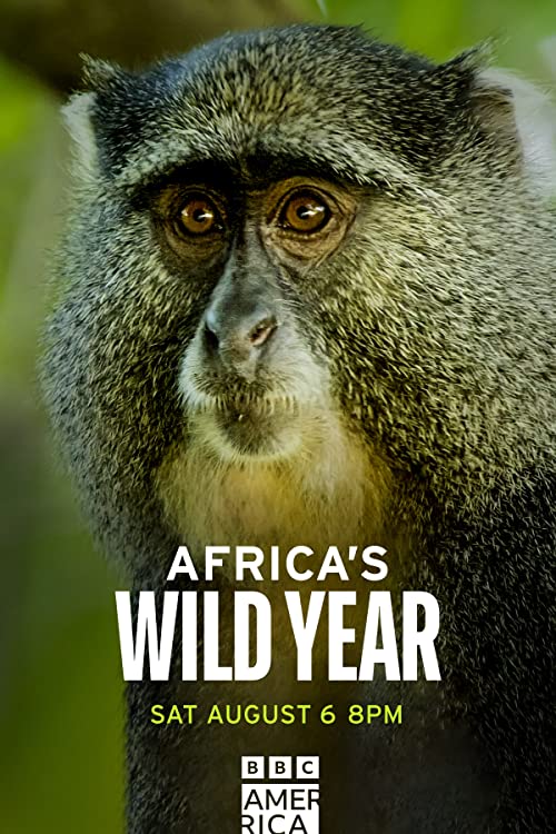 Africa’s.Wild.Year.S01.720p.AMZN.WEB-DL.DD+5.1.H.264-NTb – 8.3 GB