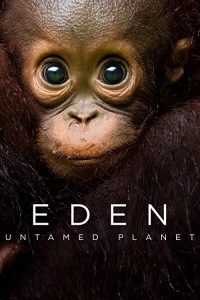 Eden.Untamed.Planet.S01.1080p.Bluray.DTS.5.1.x264-c0kE – 41.1 GB