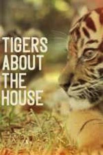 Tigers.about.the.House.S01.1080p.iP.WEB-DL.AAC2.0.H.264-playWEB – 11.1 GB