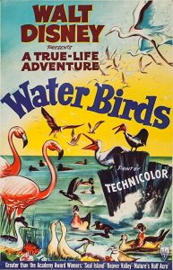 Water.Birds.1952.1080p.DSNP.WEB-DL.AAC2.0.H.264-SiGLA – 1.8 GB