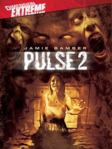 Pulse.2.Afterlife.2008.1080p.BluRay.REMUX.AVC.DTS-HD.MA.5.1-TRiToN – 22.0 GB