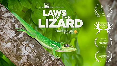 Laws.of.the.Lizard.2017.1080p.AMZN.WEB-DL.DD+2.0.H.264-LycanHD – 2.9 GB