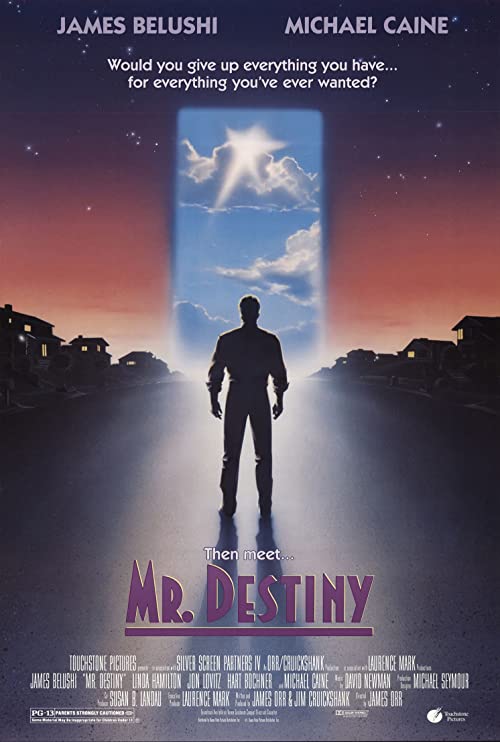 Mr. Destiny