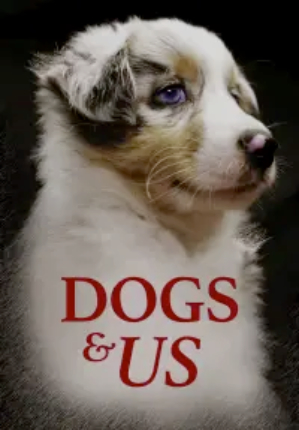 Dogs.And.Us.The.Secret.Of.A.Friendship.2019.720p.WEB.H264-CBFM – 591.8 MB