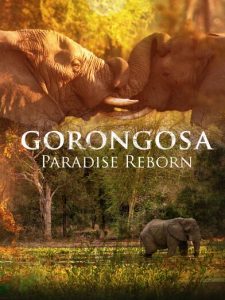 Gorongosa.Paradise.Reborn.2022.1080p.DSNP.WEB-DL.DDP5.1.H.264-NTb – 2.4 GB