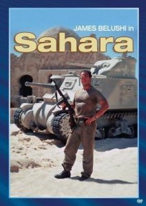 Sahara.1995.1080p.WEB.H264-DiMEPiECE – 8.9 GB