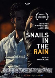 Snails.in.the.Rain.2013.1080p.Blu-ray.Remux.AVC.DD.5.1-KRaLiMaRKo – 17.5 GB