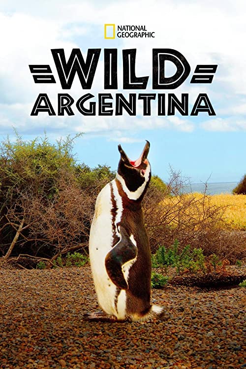 Wild.Argentina.S01.720p.DSNP.WEB-DL.DDP5.1.H.264-playWEB – 3.9 GB