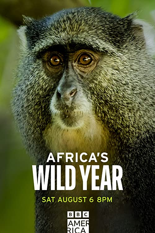 Africa’s.Wild.Year.S01.1080p.REPACK.AMZN.WEB-DL.DD+2.0.H.264-NTb – 12.6 GB