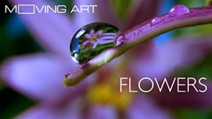 Moving.Art.Flowers.2014.720p.BluRay.FLAC2.0.x264-decibeL – 1.9 GB