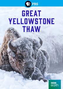 Great.Yellowstone.Thaw.S01.1080p.AMZN.WEB-DL.DD+2.0.H.264-NTb – 12.7 GB