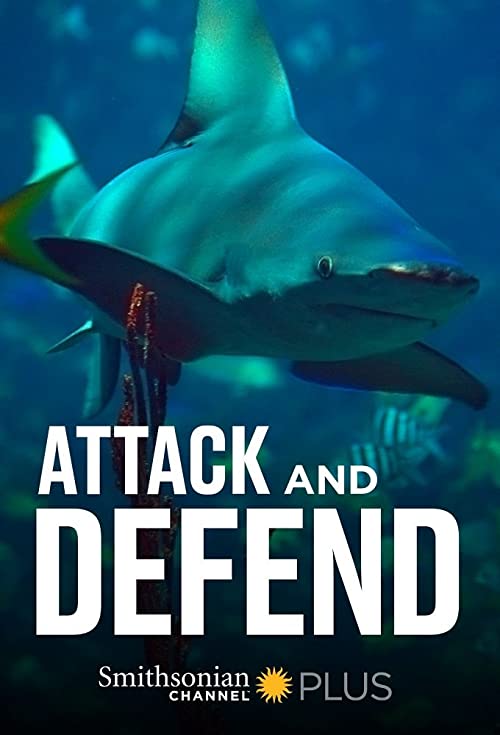 Attack.and.Defend.S01.2160p.PMTP.WEB-DL.AAC2.0.H.265-SCaMaLL – 9.2 GB
