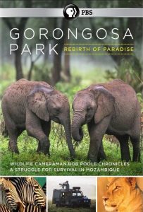Gorongosa.Park.Rebirth.of.Paradise.S01.1080p.AMZN.WEB-DL.DD+2.0.H.264-NTb – 22.7 GB