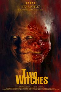 Two.Witches.2022.1080p.BluRay.REMUX.AVC.DTS-HD.MA.5.1-TRiToN – 28.0 GB