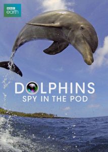Dolphins.Spy.In.The.Pod.2014.720p.BluRay.x264-SPLiTSViLLE – 4.4 GB