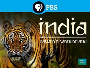 India.Natures.Wonderland.S01.1080p.AMZN.WEB-DL.DD2.0.H.264-NTb – 7.4 GB