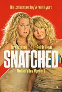 Snatched.2017.1080p.BluRay.DTS.x264-E1 – 9.5 GB