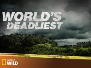 Worlds.Deadliest.Snakes.S01.1080p.DSNP.WEB-DL.DD+5.1.H.264-NTb – 6.8 GB