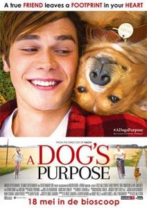 A.Dog’s.Purpose.2017.1080p.BluRay.DD5.1.x264-DopeHD – 7.9 GB