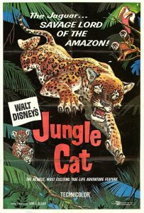 Jungle.Cat.1960.1080p.AMZN.WEB-DL.DD+2.0.x264-QOQ – 6.4 GB