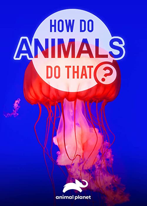 How.Do.Animals.Do.That.S01.1080p.AMZN.WEB-DL.DD+2.0.H.264-playWEB – 11.4 GB