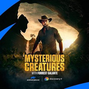 Mysterious.Creatures.with.Forrest.Galante.S01.1080p.AMZN.WEB-DL.DDP2.0.H.264-NZT – 22.5 GB